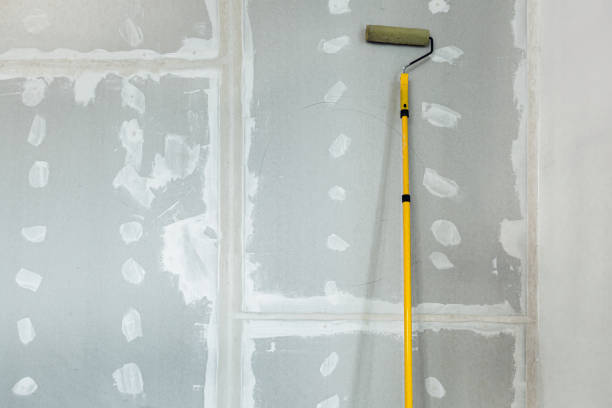 Best Drywall Texturing  in Cottageville, SC